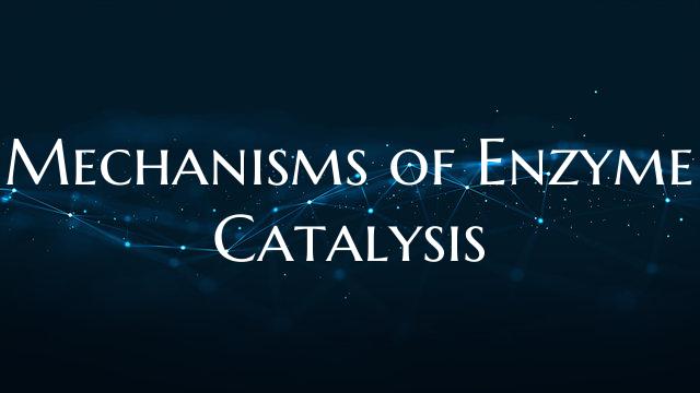 Mechanisms of Enzyme Catalysis